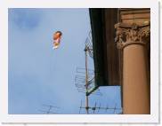 2006-03-05_15-52-17_Carnaval_200,0mm_F7,1_1_400_eme_DiMAGE A2 * 1427 x 1071 * (308KB)